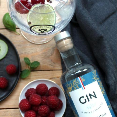 Gintonic dhautefeuille 4828 coupe
